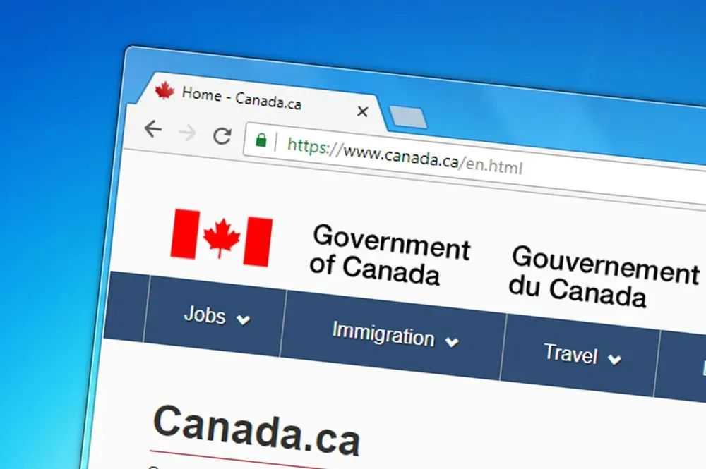 岭南佳果四海香，从化地区首次出口黄皮