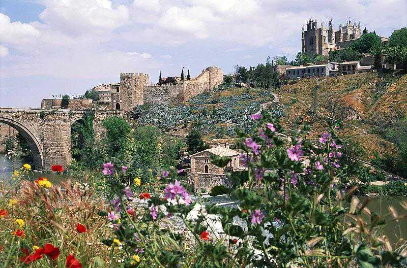 魅力新西兰:移民的理想之选