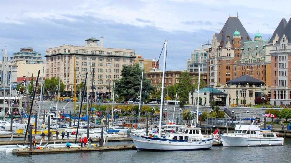 美国新移民考驾照状况百出 一华人考六次后通过