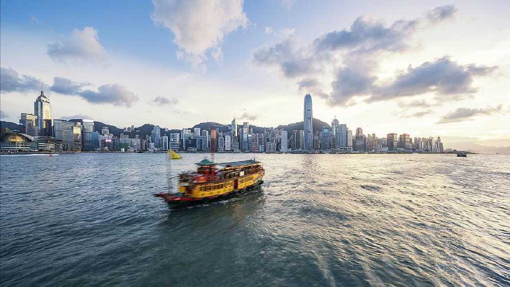 动物可自我驯化