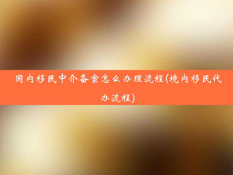 长期羁押、骨肉分离！人权理事会上 中国代表揭露西方国家移民惨状