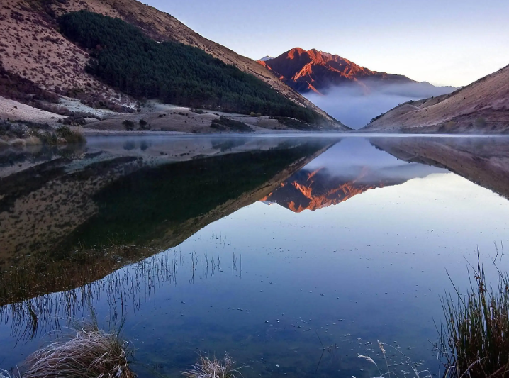 外星人马斯克揭密！从南非移民到科技狂人，细数马斯克惊人...