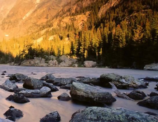 未来五年的乡村振兴工作，广州从化这样干